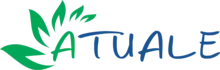 Atuale Brasil Comércio