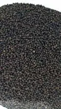 Black Peppercorns from Brazil, ASTA 580/600 GL, B1 560 GL, B2 500 GL, FOB Vitória