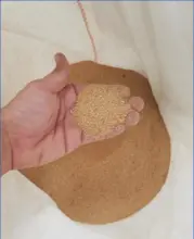 DDGS Brazilian Distillers Dried Grains with Solubles Bulk Liner 40 FCL FOB Santos