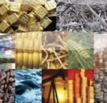 Cofesa Commodity SRL
