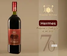 HERMES   red italy wine 