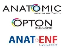 ANATOMIC
