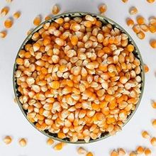 Descripción de Maíz Amarillo, Calidad de Exportación