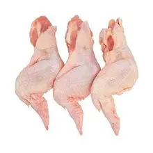 Frozen Whole Chicken Wings Bulk Export Supply FOB Durban South Africa B2B Wholesale
