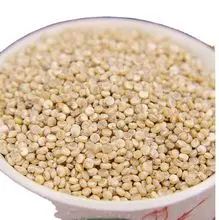 Quinoa blanca – 14% de proteína, 9 EAA, libre de saponina, grado orgánico