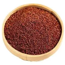 Quinoa roja – Conservadora de forma, 14% de proteína, prelavada de grado gourmet