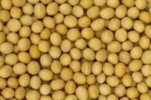 imagem dos produtos