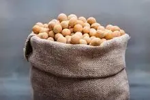 SOYBEAN GMO