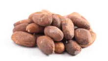 COCOA BEANS