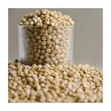Grãos de sorgo a granel no atacado em 25 kg 