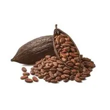 Granos de cacao orgánicos 