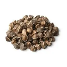 Semillas de moringa al por mayor para suplementos de salud