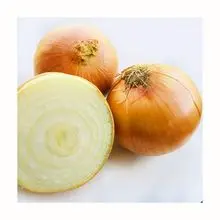 Cebolla Amarilla Fresca De Alta Calidad 