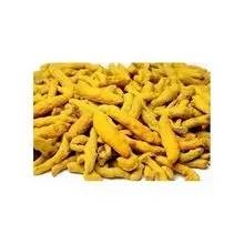 Dedos de cúrcuma disponibles para la venta a precio mayorista 