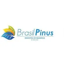BRASIL PINUS