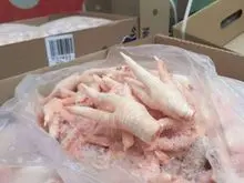 Patas de frango congeladas, garras, asas e pernas