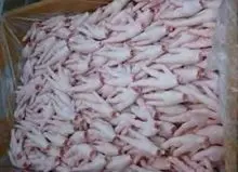 100% Pés de Frango Frescos Congelados - Compra a Granel - Embalagem OEM para Venda