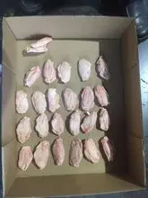 Frango Halal inteiro congelado de qualidade superior / Peito de peru / Carne Patas de aves Asas Pernas e asas