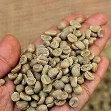 Grãos de café Robusta, grãos de café verde