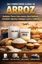 Granos (Soja, arroz, frijoles, maíz, trigo, harinas y otros productos de exportación) GRANOS: CEBADA FRIJOL GARBANZO LENTEJAS SOJA