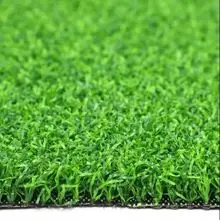 Green Golf Grass