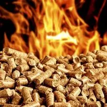 Pellet de Madeira de Alta Qualidade Din Plus /A1