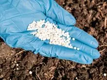 Fertilizante de Nitrogênio Granulado de Alta Pureza Sulfato de Amônio