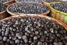 Polpa de Açaí Congelada de Qualidade