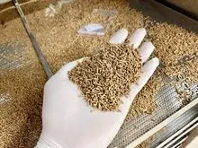Alimento de camarón de calidad nutricional