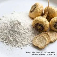 Pó de raiz de maca natural