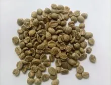 Café arábica