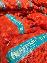 Cebola Fresca