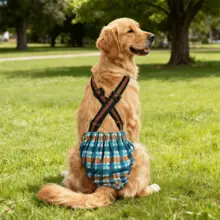 Transportadora para Pets