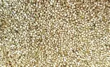 Quinoa Real para Materia Prima