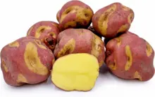 PAPA PERUANA