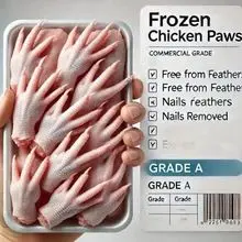 FrozenChiken Paws