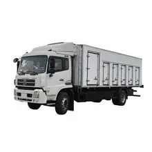 Caminhão de Armazenamento em Frio, Caminhão Refrigerado/Caminhão Refrigerado Geral, Caminhão de Transporte de Sorvete, Caminhão de Transporte de Cadeia Fria Longa