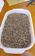 Café Verde Especial Arábica – Huila, Colômbia (SCA 84)