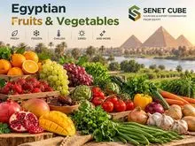 Frutas e Vegetais Egípcios