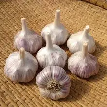 新鲜大蒜