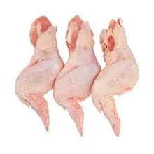 Venta al por mayor de pollo congelado halal