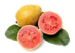 Guava - Pulp, Organic and Conventional