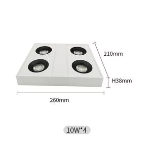Ceiling Indoor Light 10w*4 Led Surface Down Light