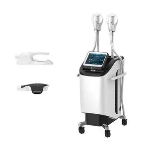 Beauty Salon Equipment for Weight Loss and Body Sculpting EMS...