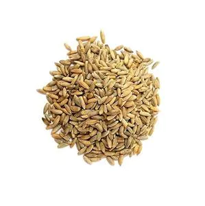 Top Quality Pure Organic Rye Grains For Sale At Cheapest...