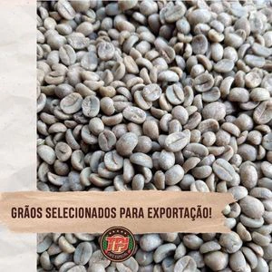 Green Coffee in Grain Raw
