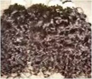 Indian Human Hair