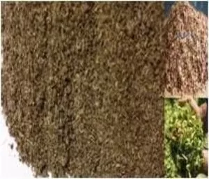 UNIEXPORT /// Corn cob, corn silage, DDGS, cashew husk for...