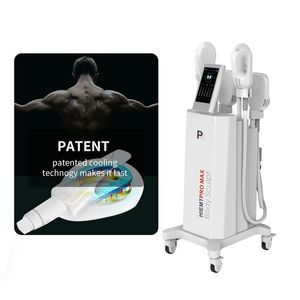 EMS Slimming Fat Burning Electromagnetic Muscle Building EMS...