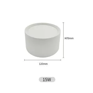 Ceiling Surface Mounted Cylinder 15wLED down light